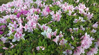 Laje de Pedra Mountain Village Prime