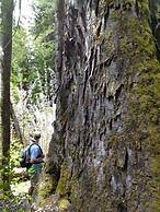 Peuma Lodge Patagonia