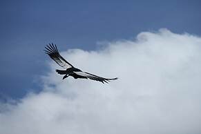 Peuma Lodge Patagonia