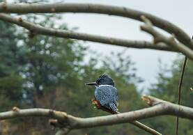 Peuma Lodge Patagonia