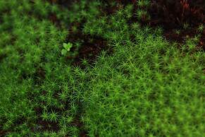 Machiya AOI KYOTO STAY AOI Suites at Nanzenji