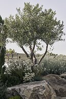 Myconian Kyma, a Member of Design Hotels