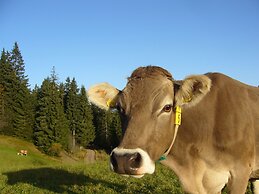 Höhengasthaus Kolmenhof an der Donauquelle