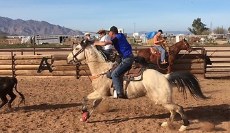Montana Hill Guest Ranch