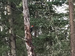 Montana Hill Guest Ranch