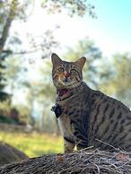 Montana Hill Guest Ranch