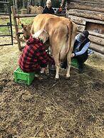 Montana Hill Guest Ranch