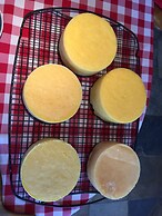 Montana Hill Guest Ranch