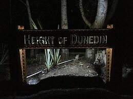 Height of Dunedin