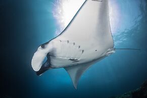 Twin Island Villas & Dive Resort