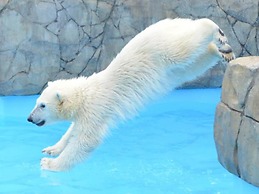 Toyoko Inn Hokkaido Sapporo Station Nishi Hokudai Mae