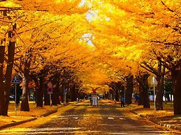 Toyoko Inn Hokkaido Sapporo Station Nishi Hokudai Mae