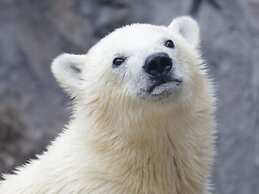 Toyoko Inn Hokkaido Asahikawa Station Higashi