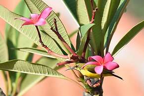 Sumberkima Hill Private Villa Retreat