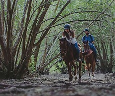 Sumberkima Hill Private Villa Retreat