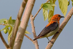 Sumberkima Hill Private Villa Retreat