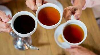 Magic Valley Guest House