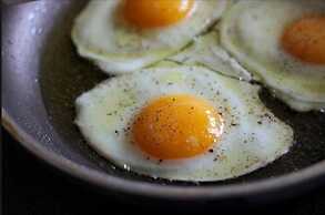 Magic Valley Guest House