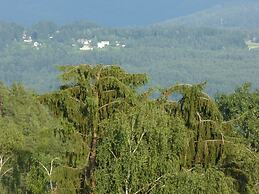 Pension & Cafè Waldschenke