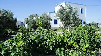 Studios Apartments Kapetanios