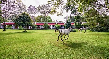 Ngare Sero Mountain Lodge