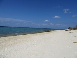 Guest House Diamond - Hostel