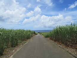 Guest House Diamond - Hostel