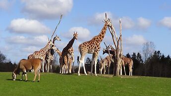 Givskud Zoo - Hostel