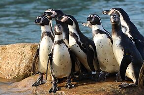 Givskud Zoo - Hostel