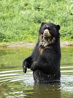 Givskud Zoo - Hostel