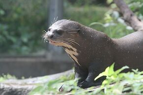 Givskud Zoo - Hostel