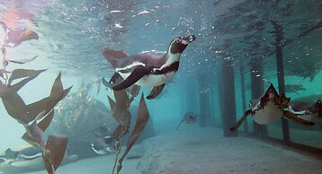 Givskud Zoo - Hostel