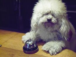 City Hotel Mar del Plata