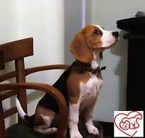 City Hotel Mar del Plata