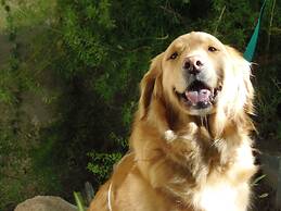 City Hotel Mar del Plata