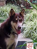 City Hotel Mar del Plata