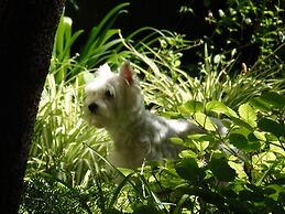 City Hotel Mar del Plata