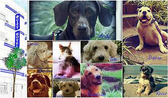 City Hotel Mar del Plata