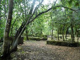 Bosque Los Lleuques Cabaña & Spa