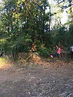 Bosque Los Lleuques Cabaña & Spa