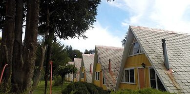 Bosque Los Lleuques Cabaña & Spa