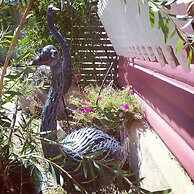 Sonjas Bed and Breakfast