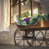 La Mora Casa de Campo