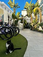 Bristol Sunset Beach