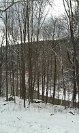 Black Bear Lodge