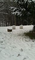 Black Bear Lodge