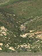 Cabaña Toros Pintos