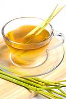 Fora Guest House Taman Lingkar