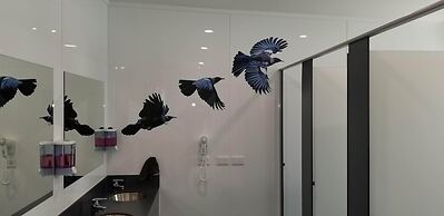 Motutere Bay Top 10 Holiday Park