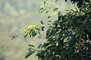 Sri Kandyan Bungalow